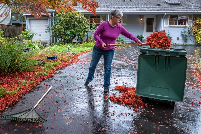 Seasonal Leaf Cleanup